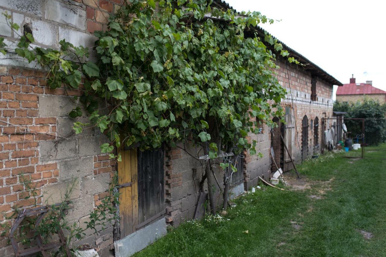 Agroturystyka Karpinscy Wizna 외부 사진